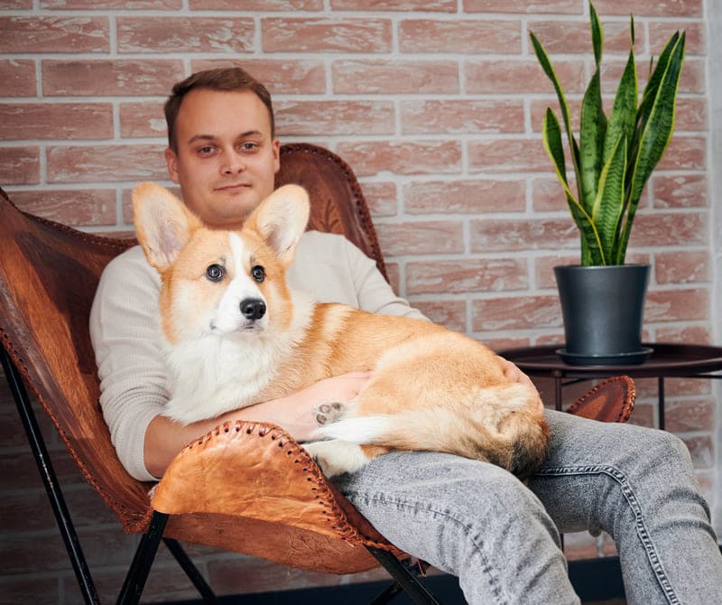 Breeder with corgi 