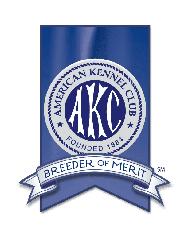 AKC Breeder of Merit