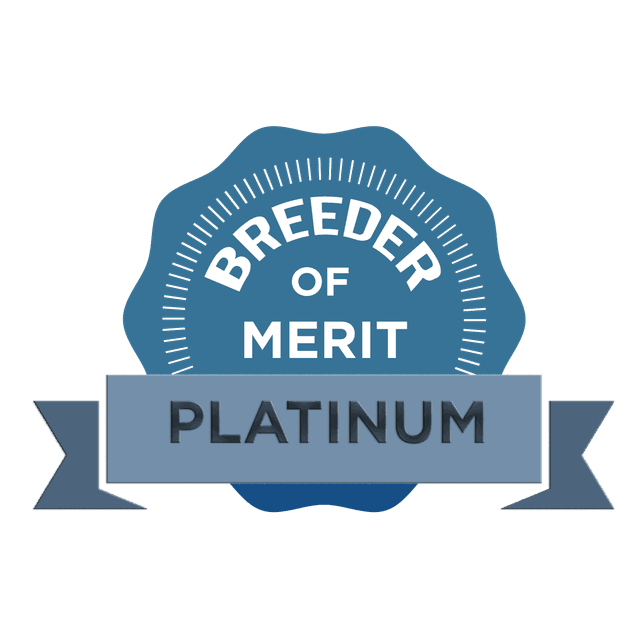 AKC Breeder of Merit – Platinum